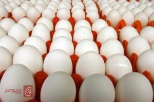 636126376976791550-eggs8